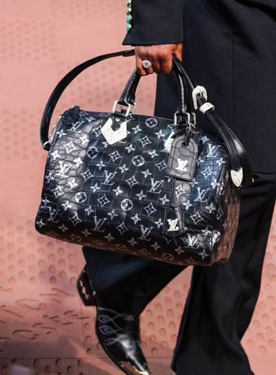 Louis Vuitton Speedy Bag hover